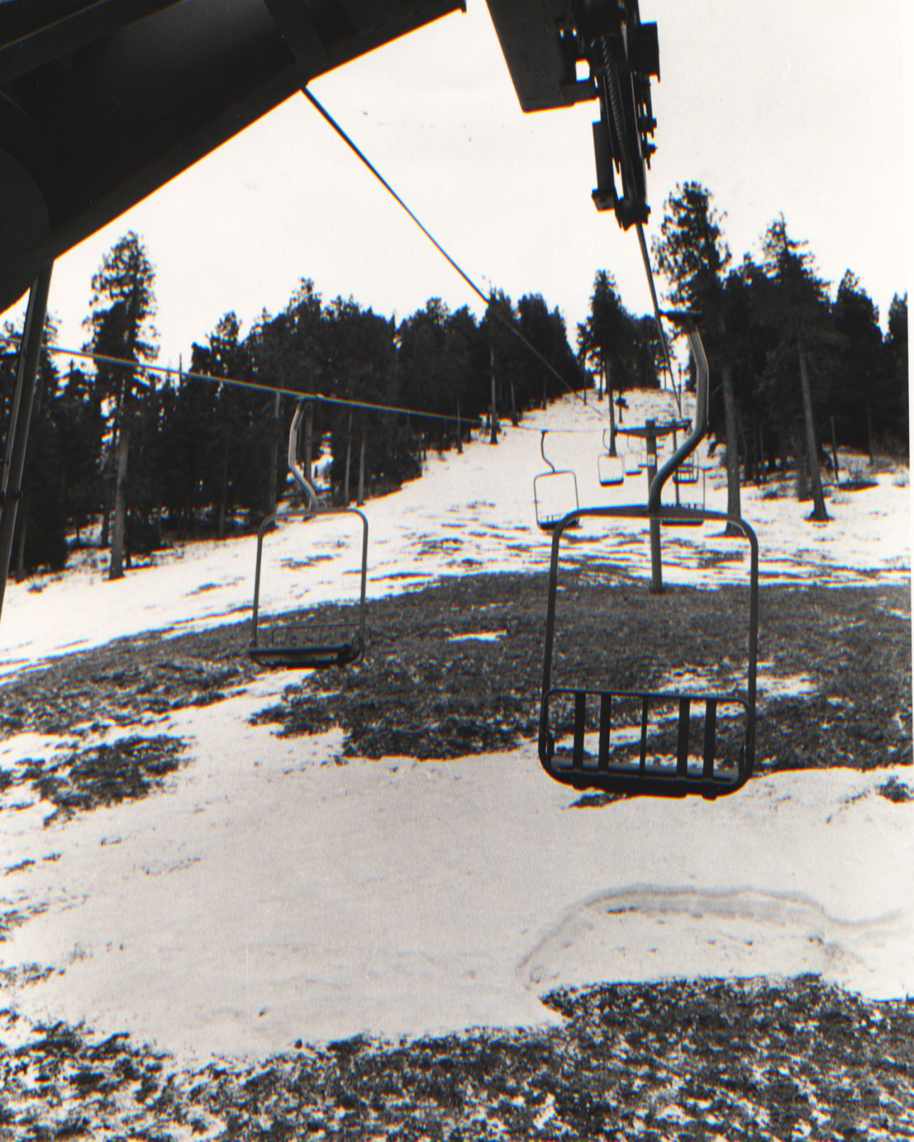 Snow on Mt. Lemmon